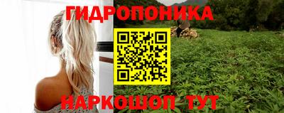 крисы Комсомольск-на-Амуре