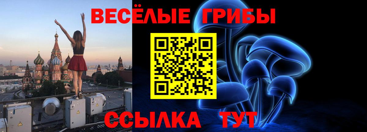 Псилоцибиновые грибы Magic Shrooms  Вход с VPN  Ухта  Галлюциногенные грибы Magic Shrooms 